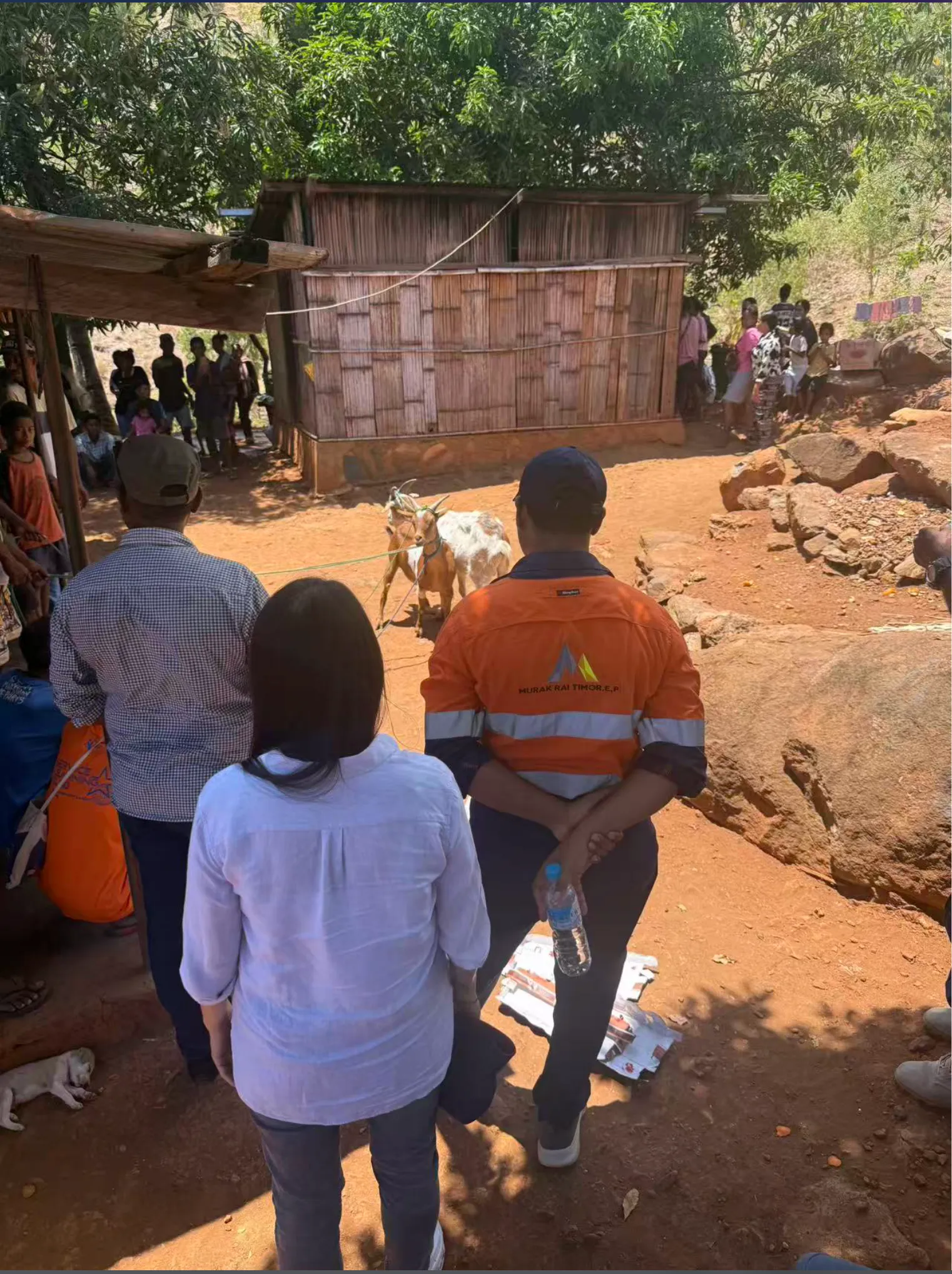 Community celebration and cultural lunch